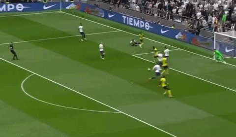 1630245732843066532.gif